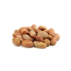 Organic Cacao Beans (Raw)
