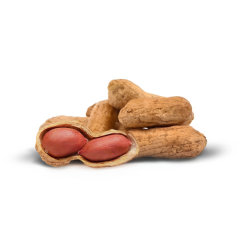 Organic Raw Peanuts (In Shell)