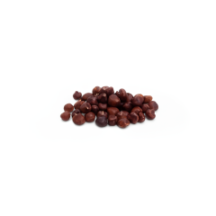 Organic Dry Roasted Hazelnuts (Unsalted)