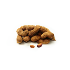 Dark Roasted Jumbo Peanuts (In Shell)