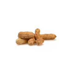 Organic Raw Peanuts (In Shell)