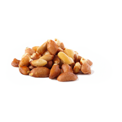 Raw Brazil Nuts (No Shell)
