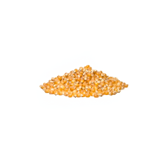 Mushroom Popcorn Kernels
