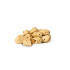 Raw Almonds (In Shell)