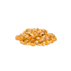 Organic Popcorn Kernels