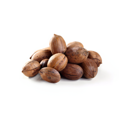 Hard Shell Pecans