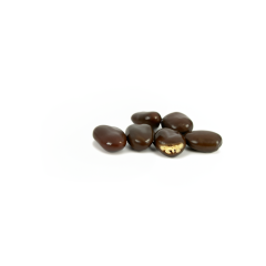 Dark Chocolate Covered Pecans