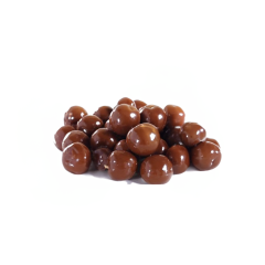 Chocolate Covered Macadamia Nuts