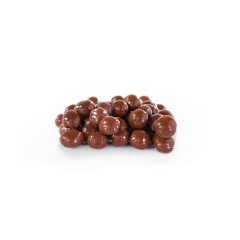 Milk Chocolate Hazelnuts