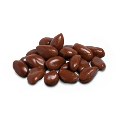 Milk Chocolate Covered Brazil Nuts