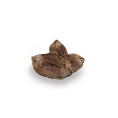 Organic Pecans (Raw, In Shell)