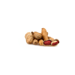 Organic Raw Peanuts (In Shell)
