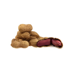 Organic Roasted Peanuts (In Shell)