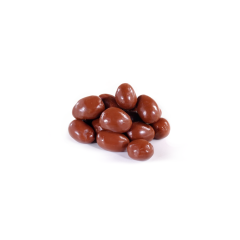 Organic Milk Chocolate Covered Almonds