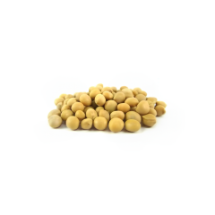 Organic Soy Beans