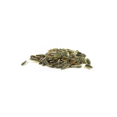 Israeli Sunflower Seeds (Unsalted, In Shell)