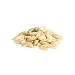 Organic Cashew Pieces (Raw)