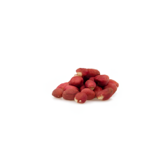 Organic Dry Roasted Peanuts (Unsalted, No Shell)