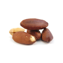 Pili Nuts