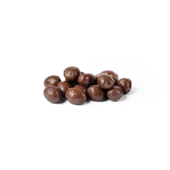 Chocolate Raisins (No Sugar Added)