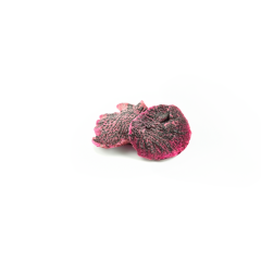 Organic Dried Dragon Fruit