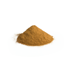 Organic Reishi Mushroom Powder