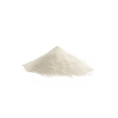 Coconut Water Powder