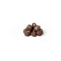 Dark Chocolate Sea Salt Caramels
