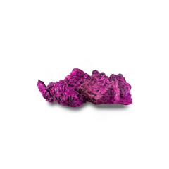 Red Dragon Fruit Chip