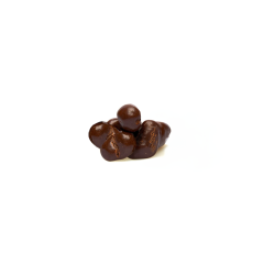 Organic Dark Chocolate Sea Salt Cashews