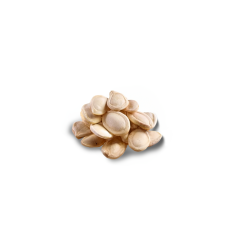 Roasted Pumpkin Seeds (Unsalted, In Shell)