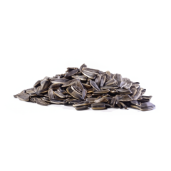Roasted Sunflower Seeds (Unsalted, In Shell)