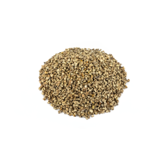 Hemp Seeds