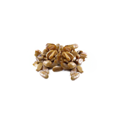 Organic Tamari-Roasted Sunflower Seeds (No Shell)