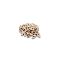 Sprouted Sunflower Seeds