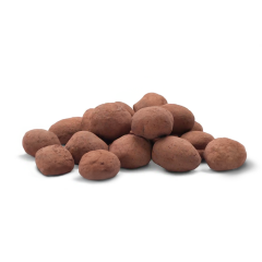 Cocoa Dusted Almonds