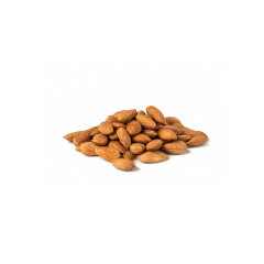 Organic Wild Apricot Kernels (Sweet)
