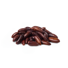 Roasted Baru Nuts (Salted)