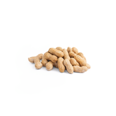 Roasted Peanuts (Salted, In Shell)
