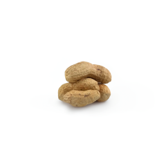 Organic Roasted Peanuts (In Shell)