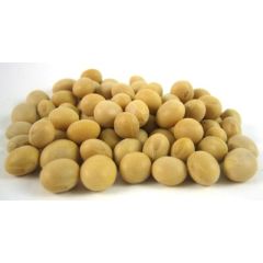 Raw Soybeans